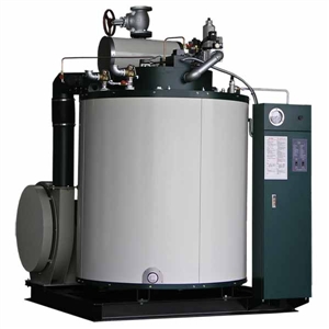 Gas steam boiler