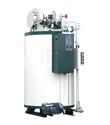 Gas Steam Boilers-ZH-300G
